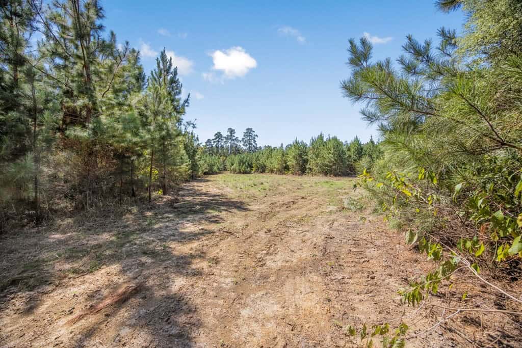 Franklin County Land Adjoining Homochitto National Forest