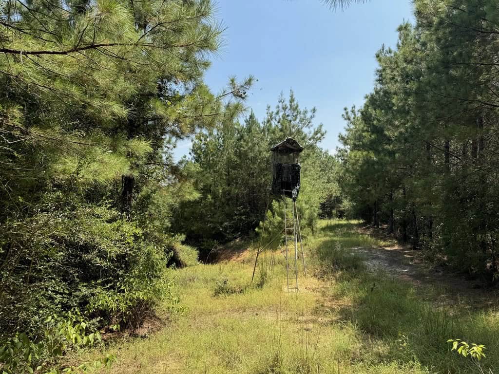 45 Acre Timberland Hunting Lincoln County South MS