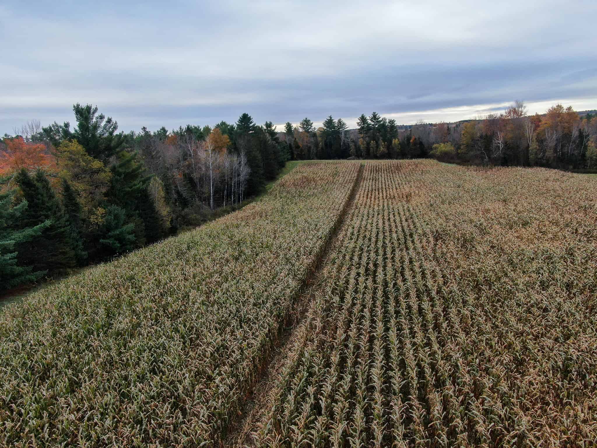 Homestead & Hunting Land in Central Maine