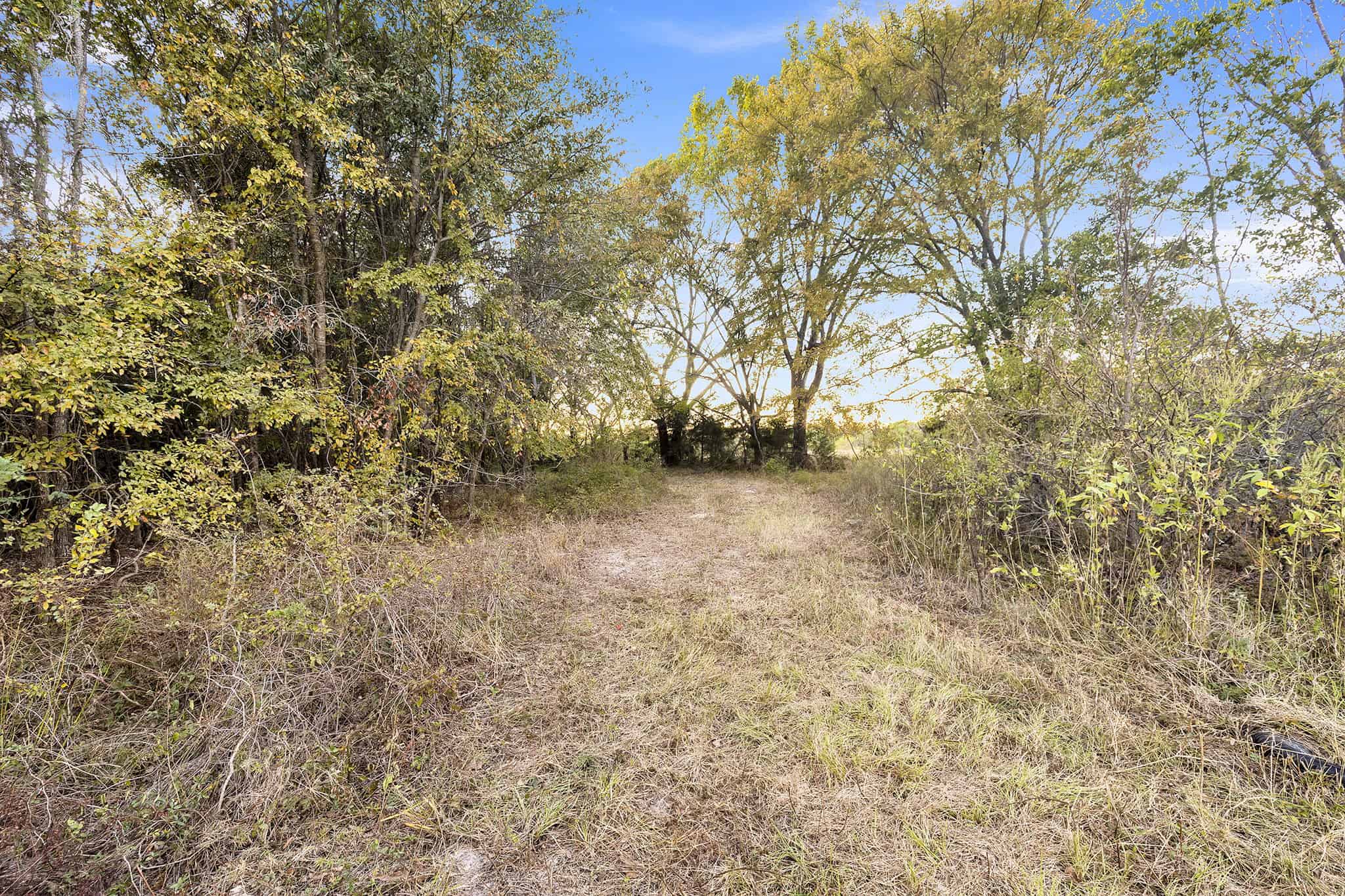 SOLD! Texas Land for Sale East of Dallas Near Ben Wheeler
