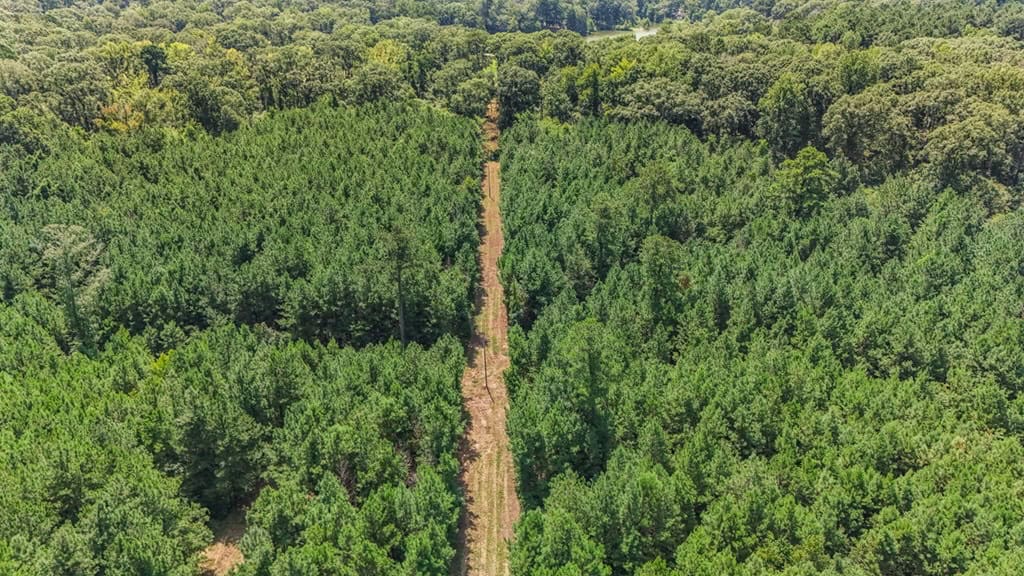 137 Acres for Sale with Comite River Frontage