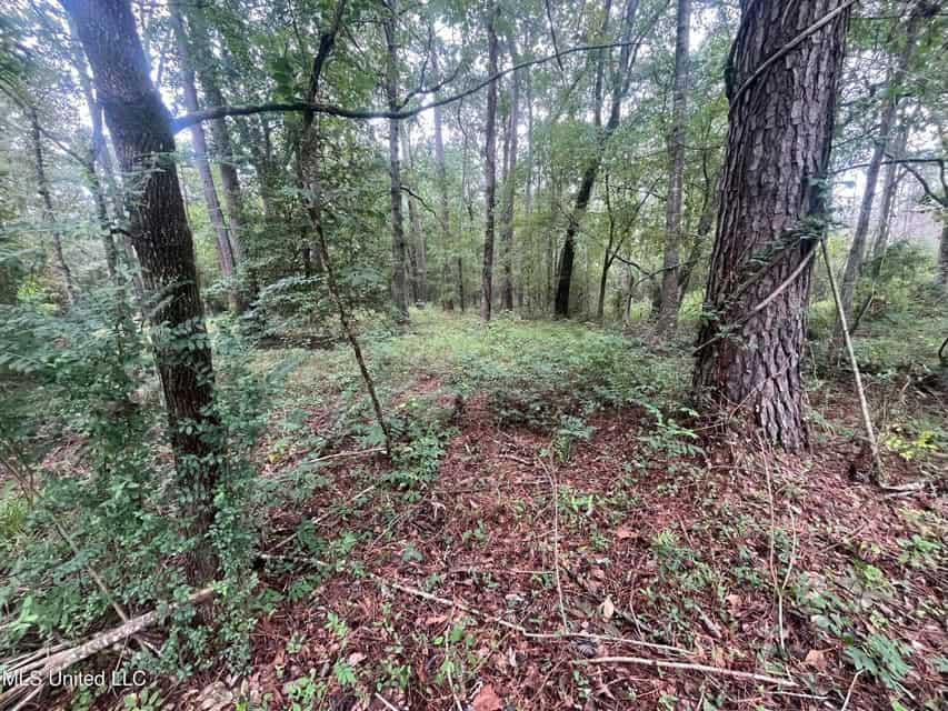 42 Acres for Sale with Old Country Home Scott Co MS