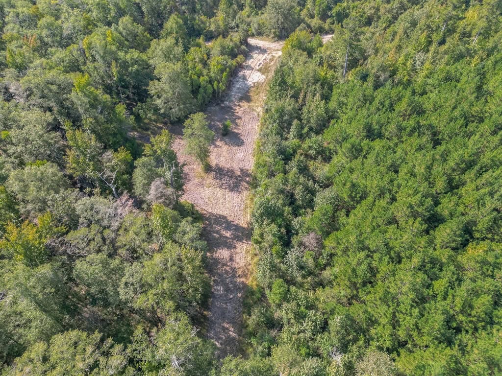 Hunting and Timberland for Sale in Ouachita Parish, LA