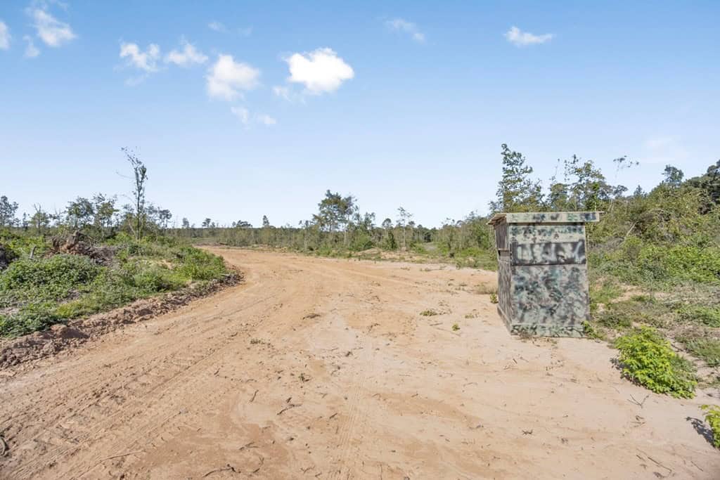 Small Hunting Tract in Amite County, MS