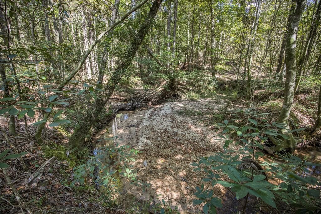 Turnkey Hunting Property Connected to Caston Creek WMA