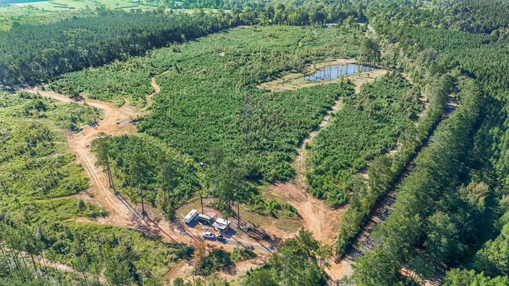 Small Hunting Tract in Amite County, MS