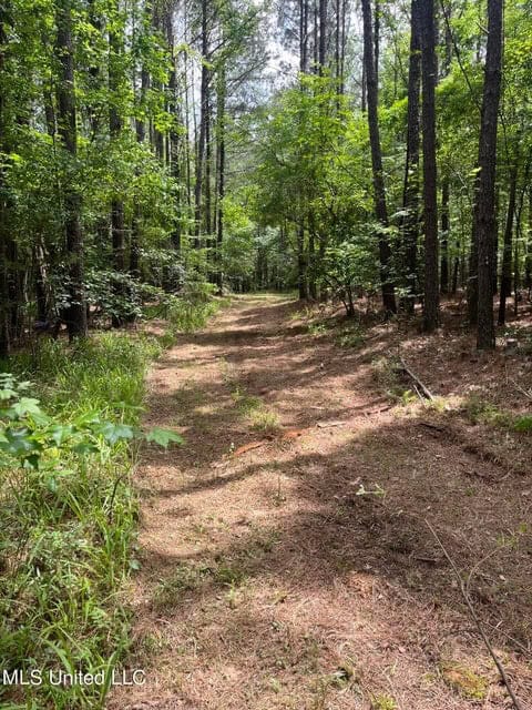 28 Acres in Hinds County