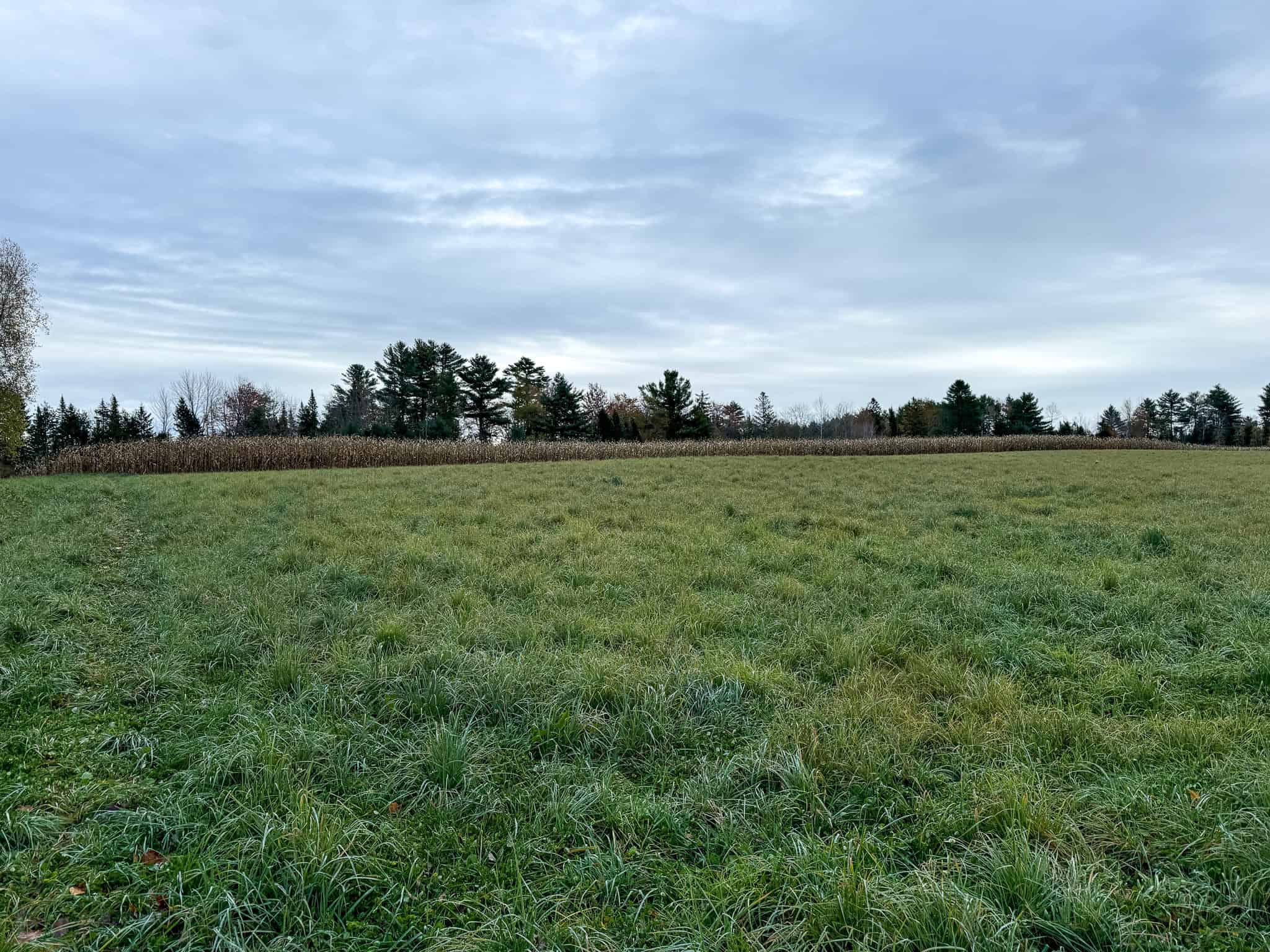Homestead & Hunting Land in Central Maine