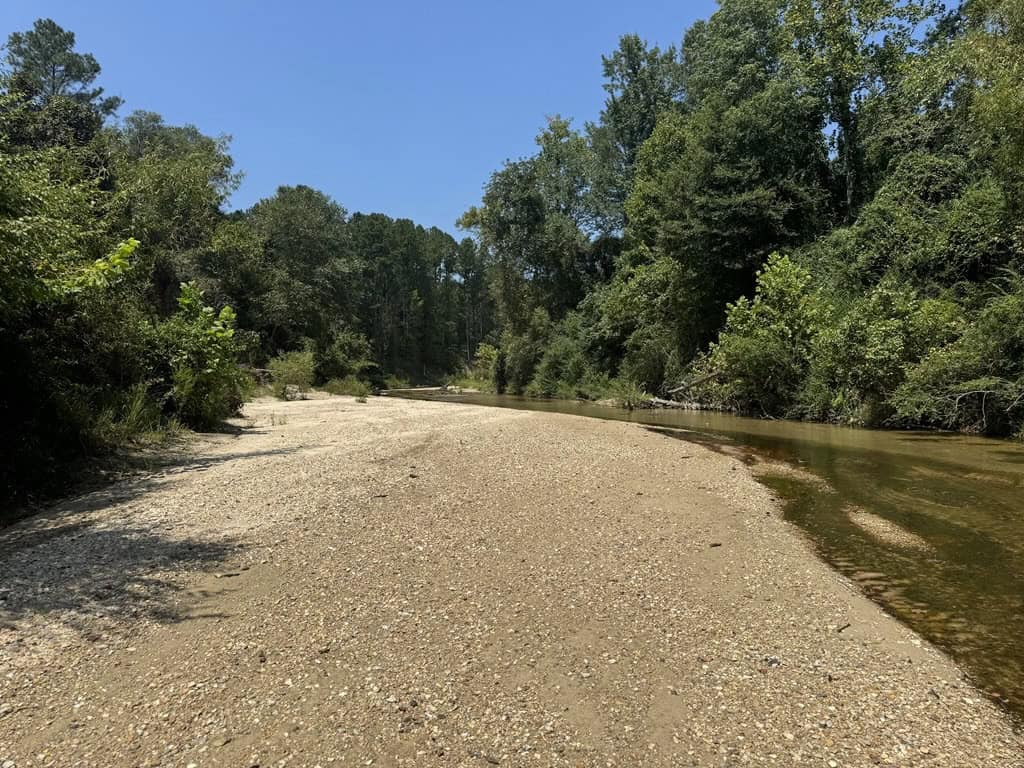 296 Acre Timberland for Sale with Creek Southwest MS