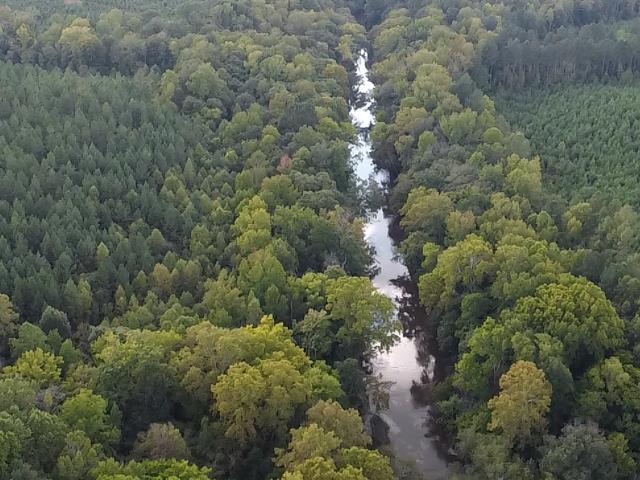 206 Acres on the Meherrin River – Hunting & Timber Land, VA