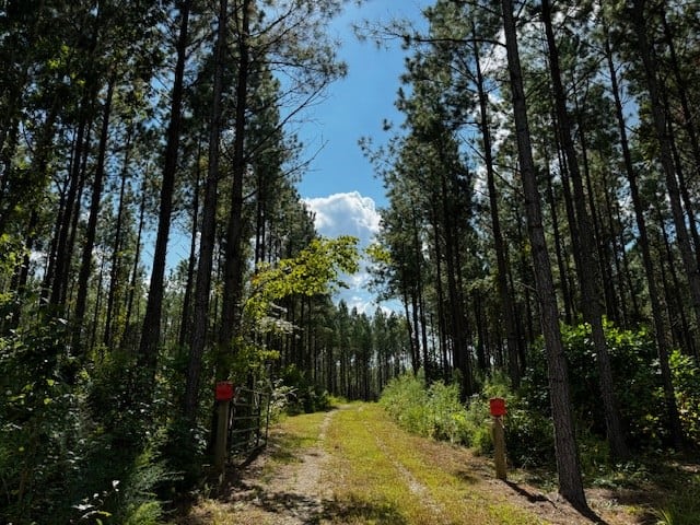 206 Acres on the Meherrin River – Hunting & Timber Land, VA