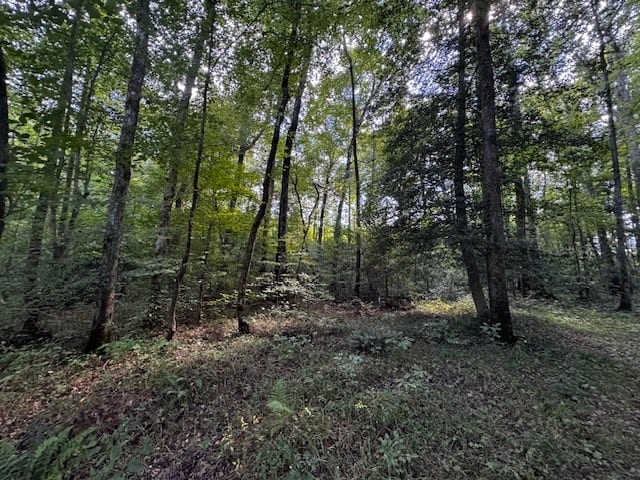 206 Acres on the Meherrin River – Hunting & Timber Land, VA