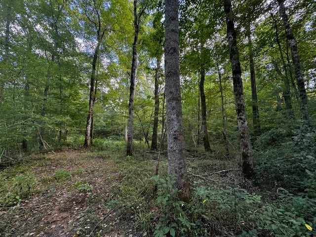 206 Acres on the Meherrin River – Hunting & Timber Land, VA