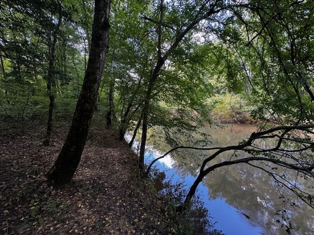 206 Acres on the Meherrin River – Hunting & Timber Land, VA