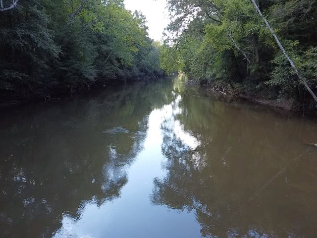 206 Acres on the Meherrin River – Hunting & Timber Land, VA