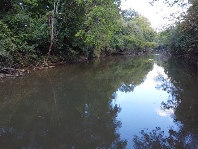 206 Acres on the Meherrin River – Hunting & Timber Land, VA