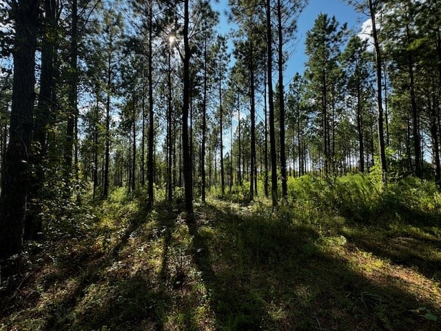 206 Acres on the Meherrin River – Hunting & Timber Land, VA