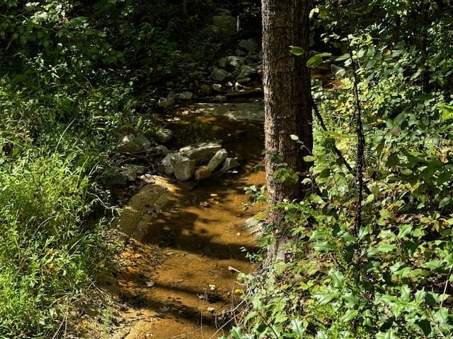 206 Acres on the Meherrin River – Hunting & Timber Land, VA