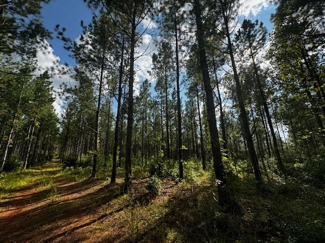 206 Acres on the Meherrin River – Hunting & Timber Land, VA