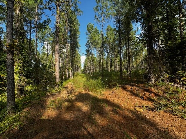 206 Acres on the Meherrin River – Hunting & Timber Land, VA