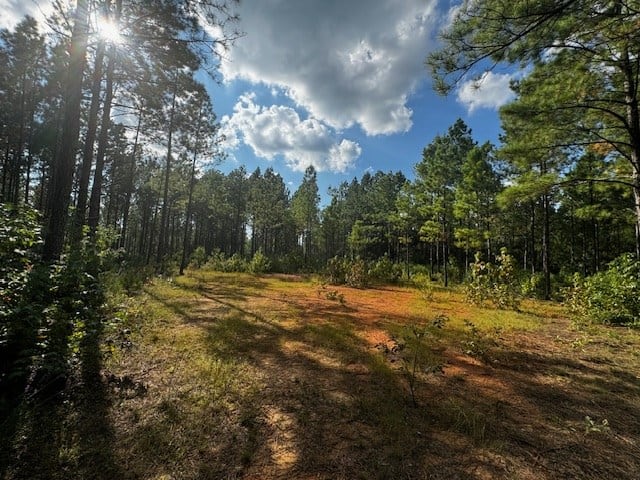 206 Acres on the Meherrin River – Hunting & Timber Land, VA