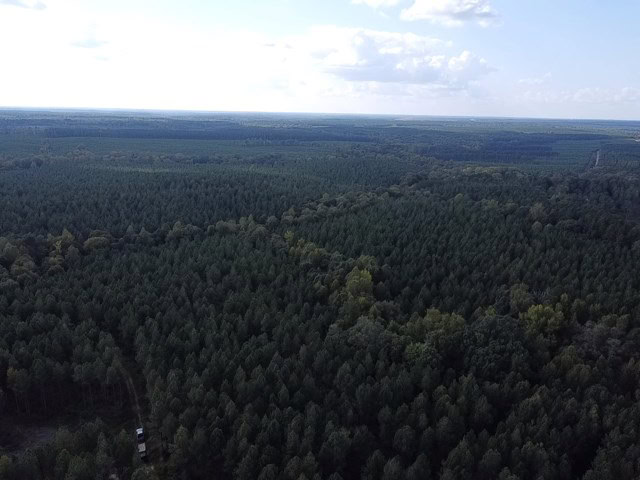 206 Acres on the Meherrin River – Hunting & Timber Land, VA