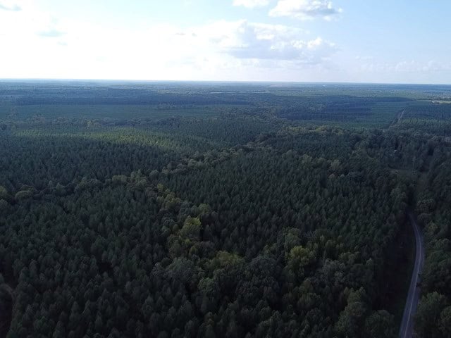 206 Acres on the Meherrin River – Hunting & Timber Land, VA