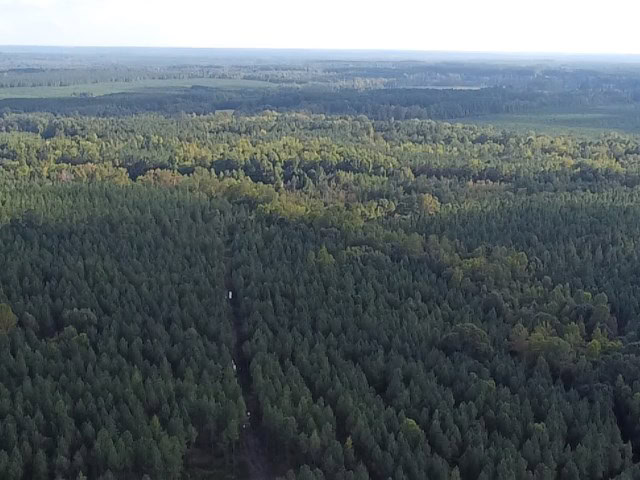 206 Acres on the Meherrin River – Hunting & Timber Land, VA