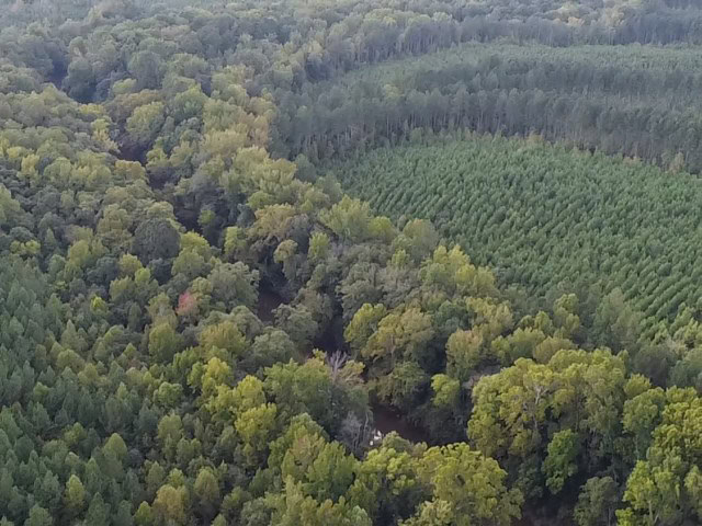206 Acres on the Meherrin River – Hunting & Timber Land, VA
