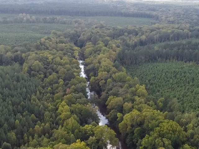 206 Acres on the Meherrin River – Hunting & Timber Land, VA