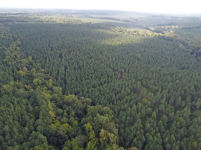 206 Acres on the Meherrin River – Hunting & Timber Land, VA
