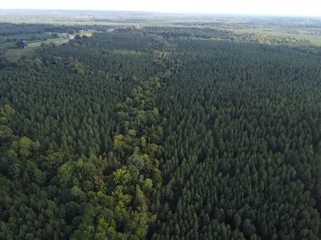 206 Acres on the Meherrin River – Hunting & Timber Land, VA