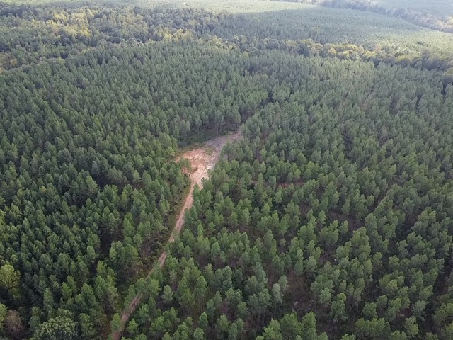 206 Acres on the Meherrin River – Hunting & Timber Land, VA