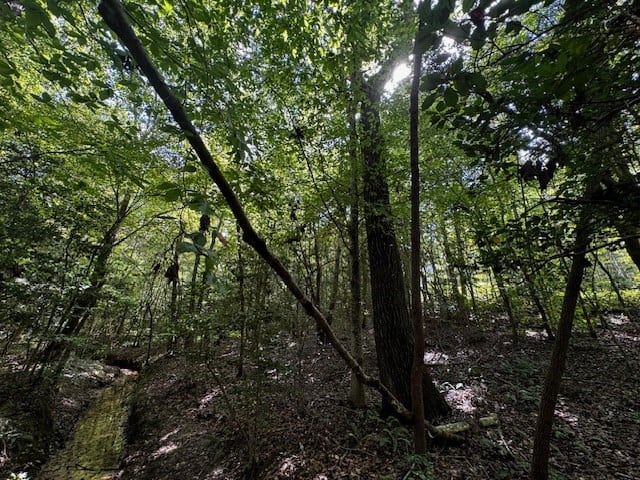 206 Acres on the Meherrin River – Hunting & Timber Land, VA