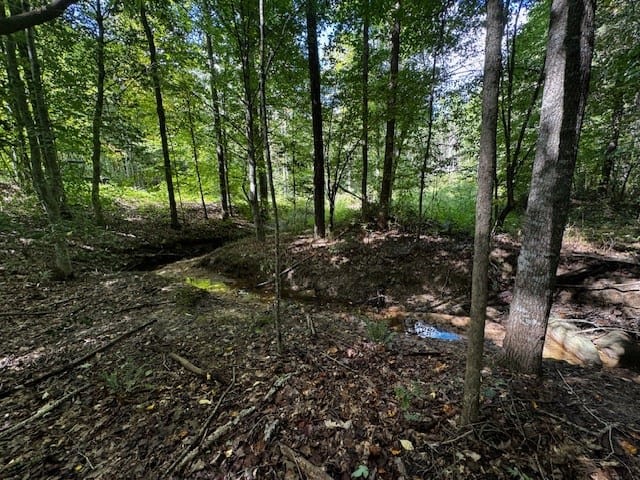 206 Acres on the Meherrin River – Hunting & Timber Land, VA