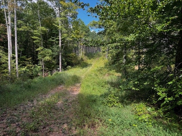 206 Acres on the Meherrin River – Hunting & Timber Land, VA
