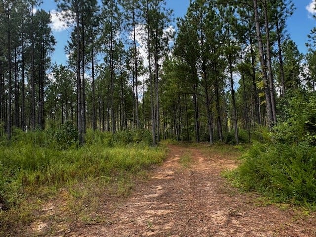 206 Acres on the Meherrin River – Hunting & Timber Land, VA
