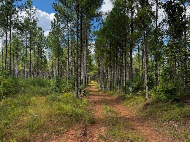 206 Acres on the Meherrin River – Hunting & Timber Land, VA