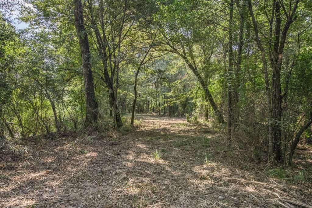 137 Acres for Sale with Comite River Frontage