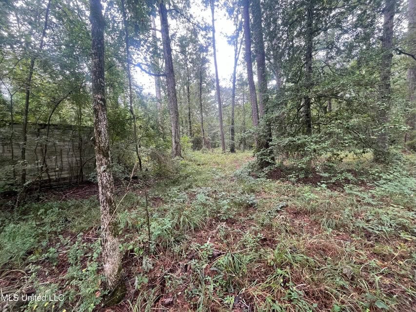 42 Acres for Sale with Old Country Home Scott Co MS