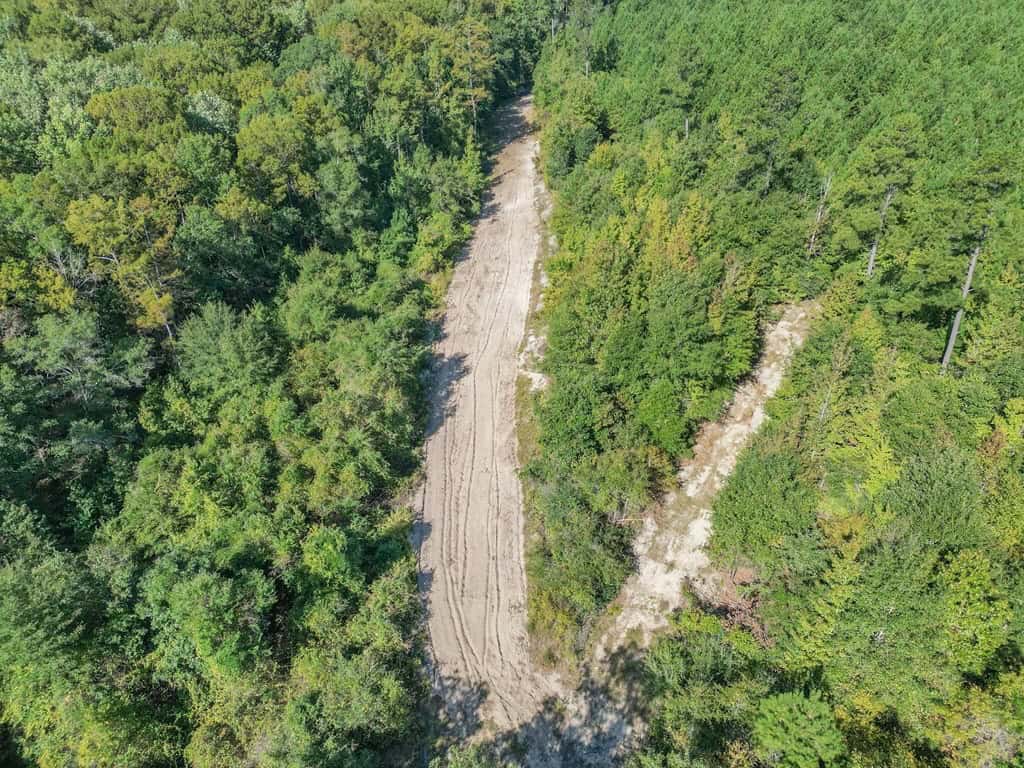 Hunting and Timberland for Sale in Ouachita Parish, LA