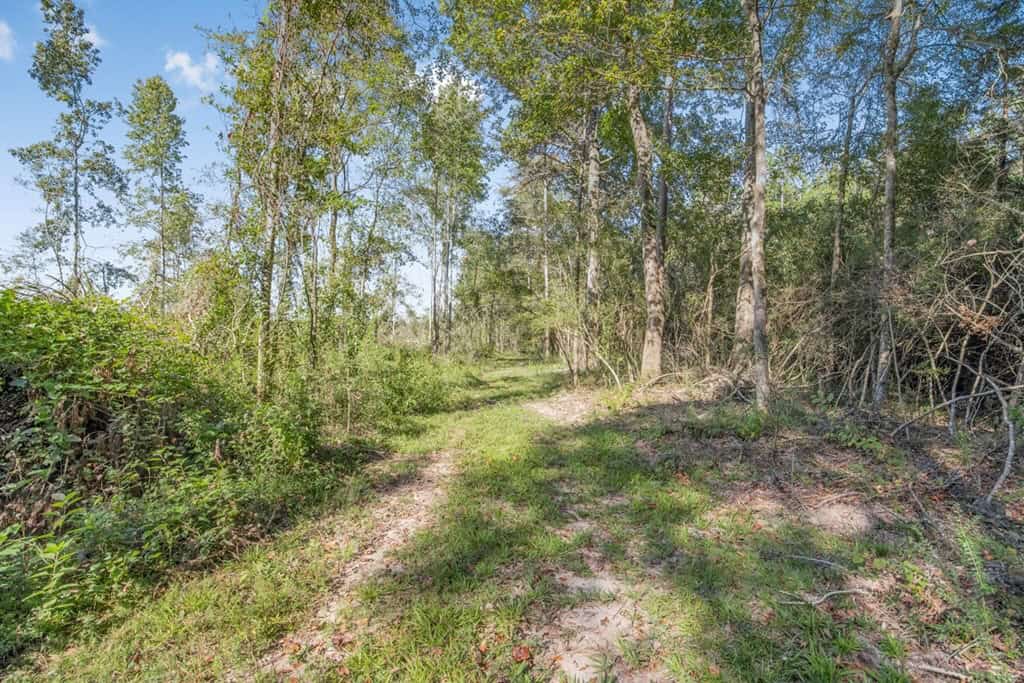 Small Hunting Tract in Amite County, MS