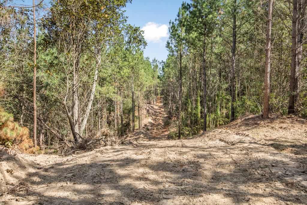 Turnkey Property in Amite County Connected to Caston Creek