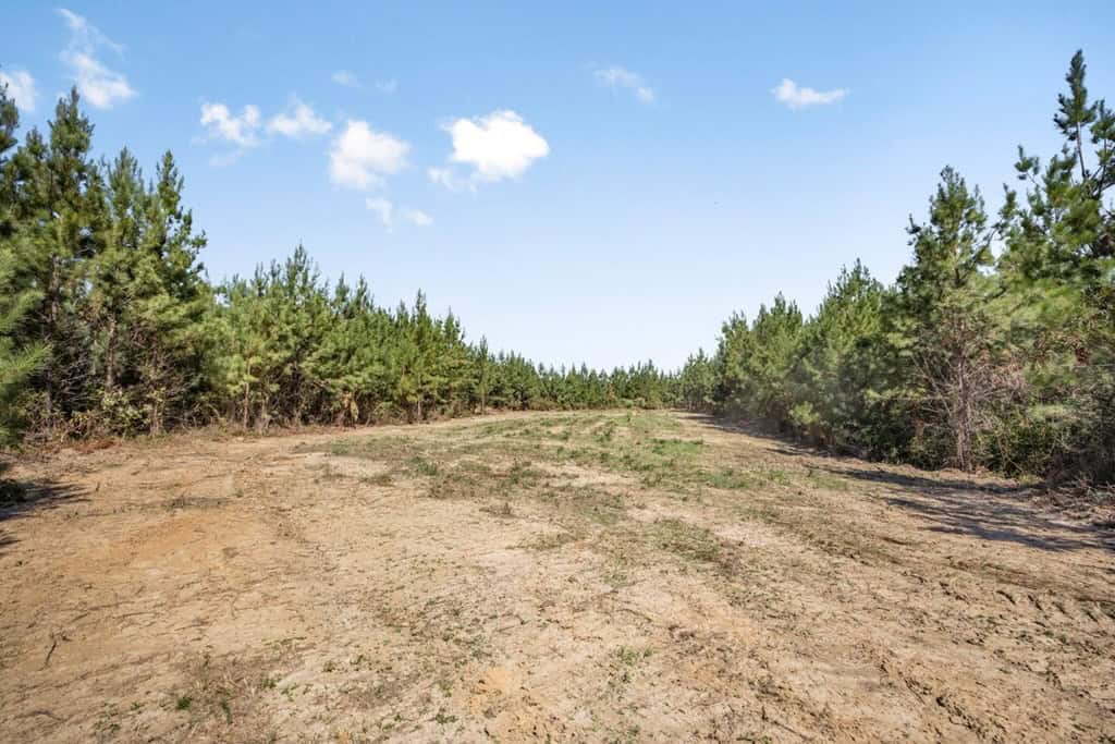 Franklin County Land Adjoining Homochitto National Forest