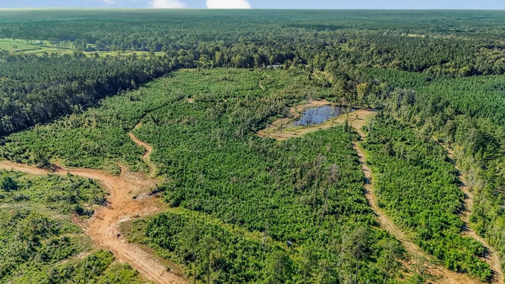 Small Hunting Tract in Amite County, MS
