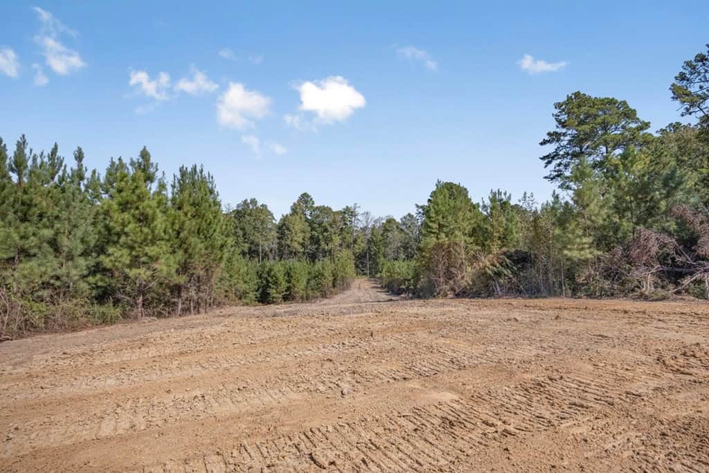 Affordable Hunting Property Adjoining National Forest