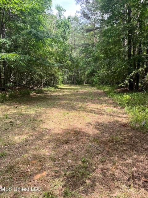 28 Acres in Hinds County