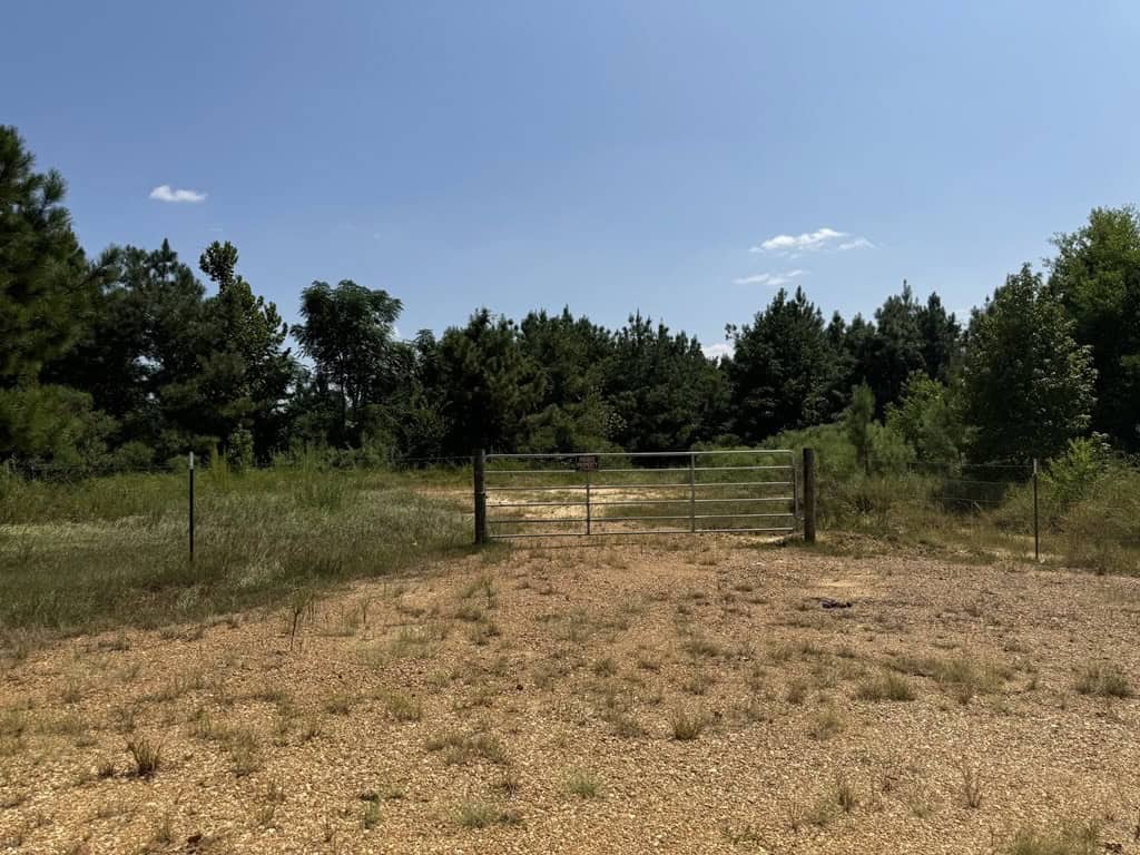 45 Acre Timberland Hunting Lincoln County South MS