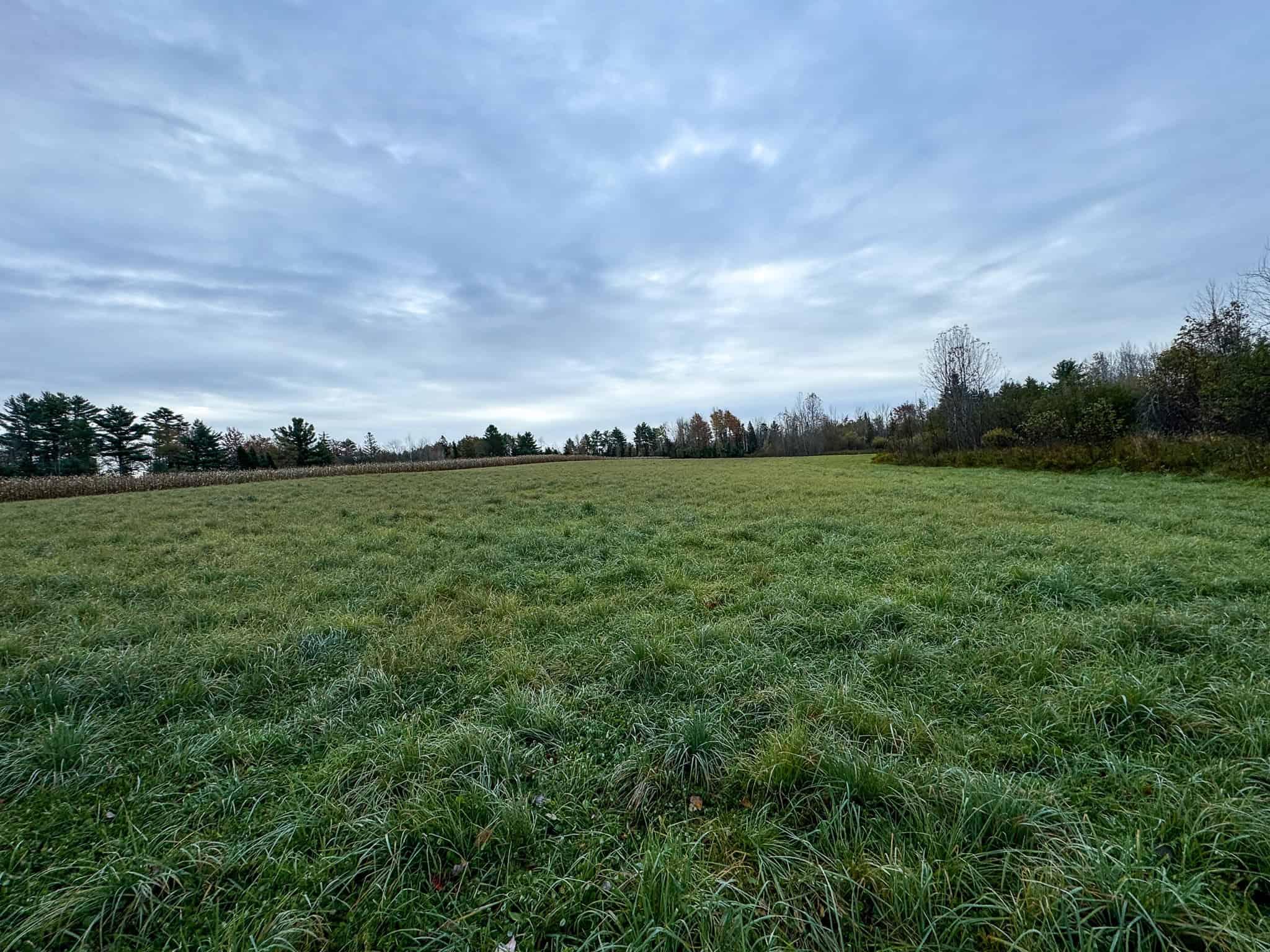 Homestead & Hunting Land in Central Maine