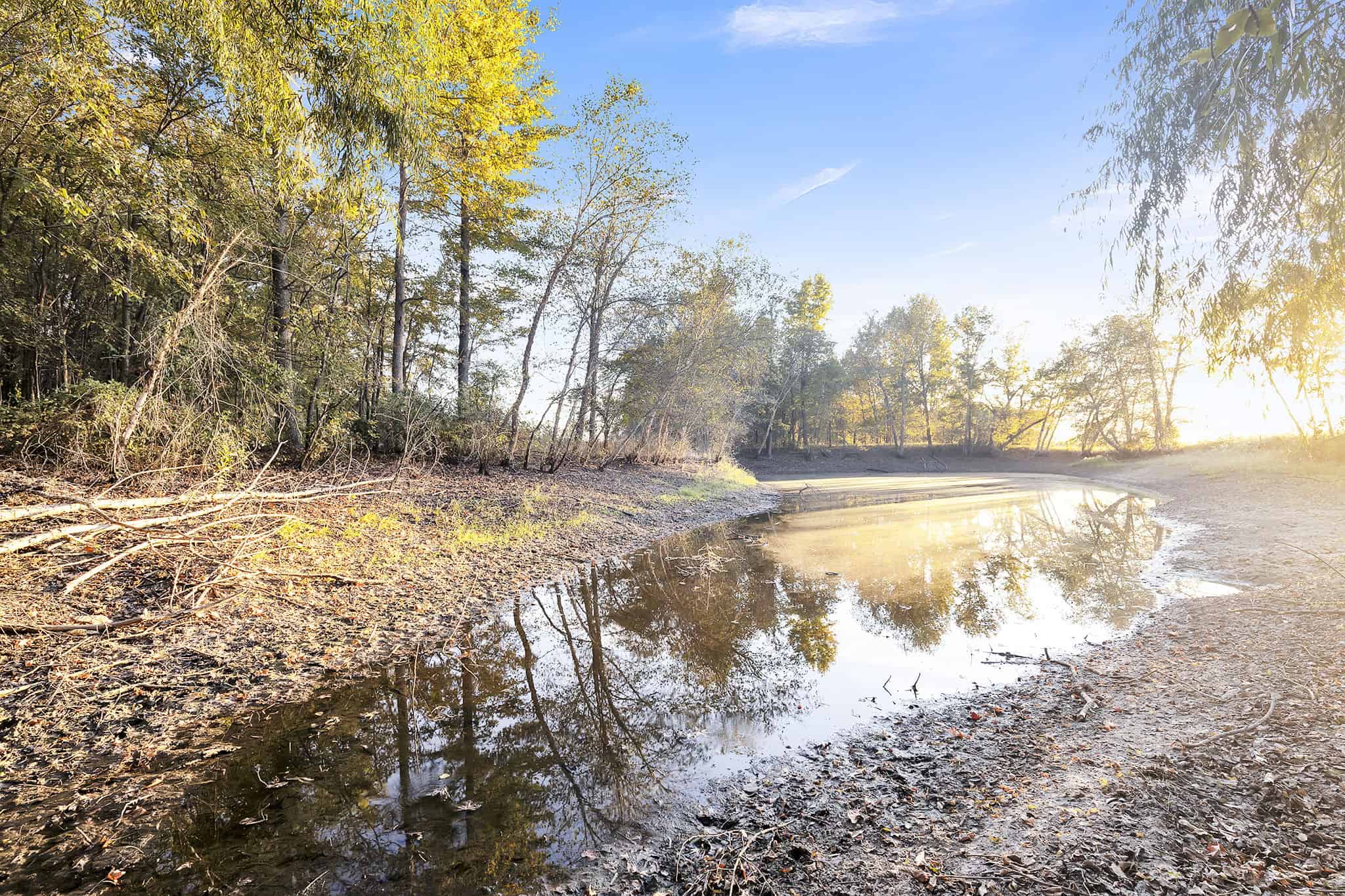 SOLD! Texas Land for Sale East of Dallas Near Ben Wheeler